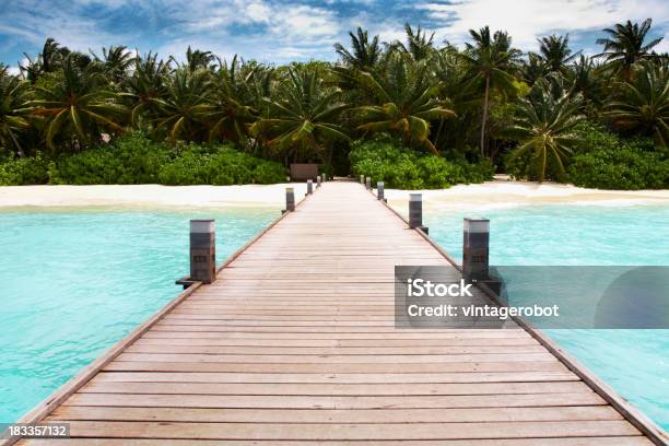 Passeio De Ilha Paradise - Fotografias de stock e mais imagens de Pontão - Pontão, Caraíbas, Praia