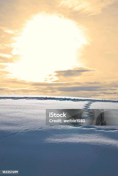 Titel Im Schnee Gegen Das Licht Und Golden Sky Stockfoto und mehr Bilder von Anhöhe - Anhöhe, Bedeckter Himmel, Beleuchtet