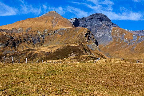 schwarzhorn унд gemschiberg - cirrostratus nobody field autumn стоковые фото и изображения