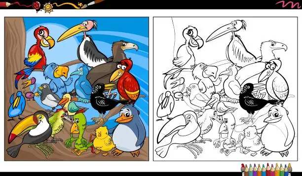 Vector illustration of cartoon colorful birds animal characters group coloring page