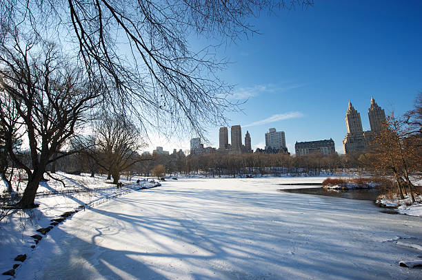 istock Winter Scene New York City Central Park 183357889