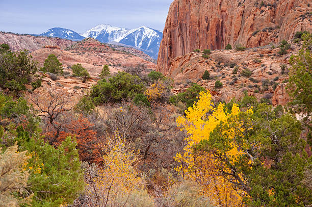 La Sal Mountains and Canyon During Autumn