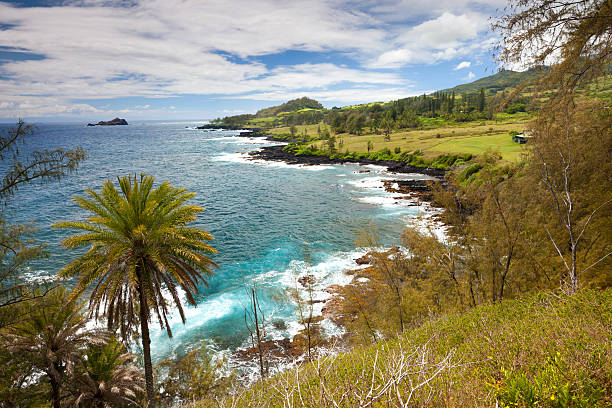 idyllic bay with palm tree and blue ocean, maui, hawaii "idyllic bay with palm tree and blue ocean, maui, hawaiiWaianapanapa State Park" hana coast stock pictures, royalty-free photos & images