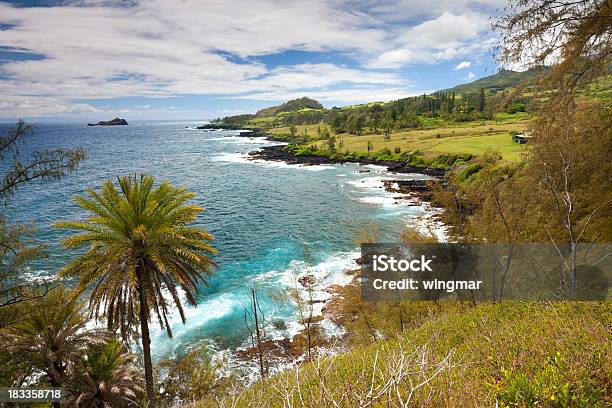 Idyllic Bay With Palm Tree And Blue Ocean Maui Hawaii Stock Photo - Download Image Now