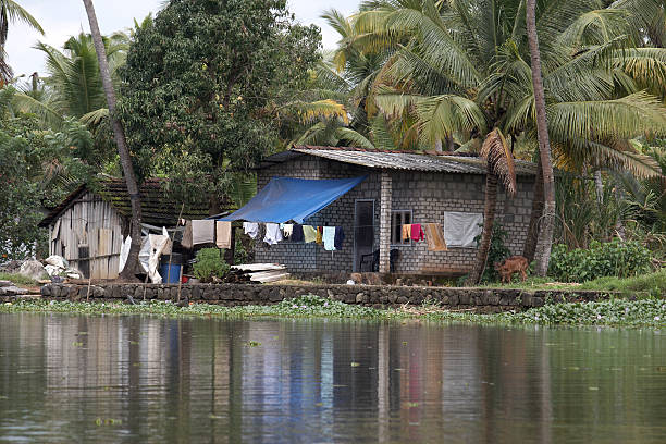 istock Backwaters of Kerala in India 183359071