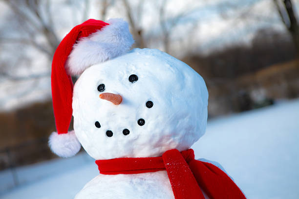 istock Back Yard Snow Man with Santa Hat 183359108