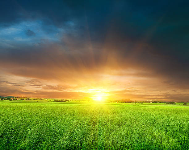 istock Sunrise on the meadow. 183359179