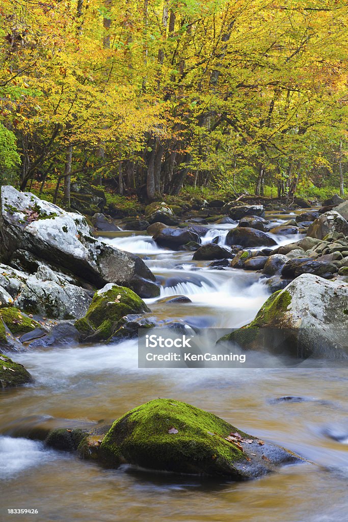 Herbst Mountain Stream - Lizenzfrei Bach Stock-Foto