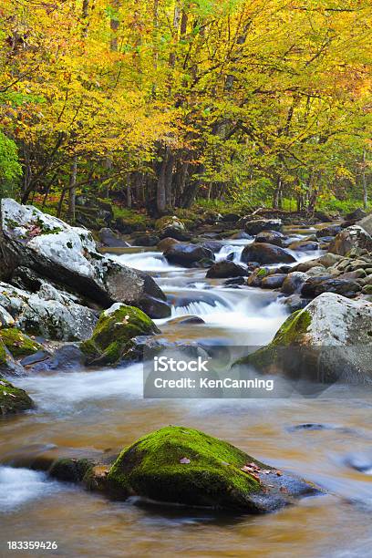 Foto de Outono Mountain Stream e mais fotos de stock de Amarelo - Amarelo, América do Norte, Beleza natural - Natureza