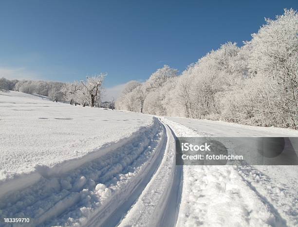 Winterlandschaft Stockfoto und mehr Bilder von Ast - Pflanzenbestandteil - Ast - Pflanzenbestandteil, Baum, Blau