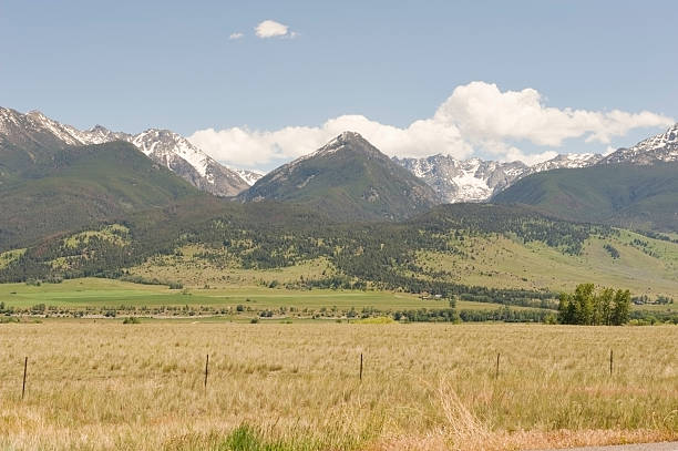 istock Big Snowy Mountains Montana 183359774