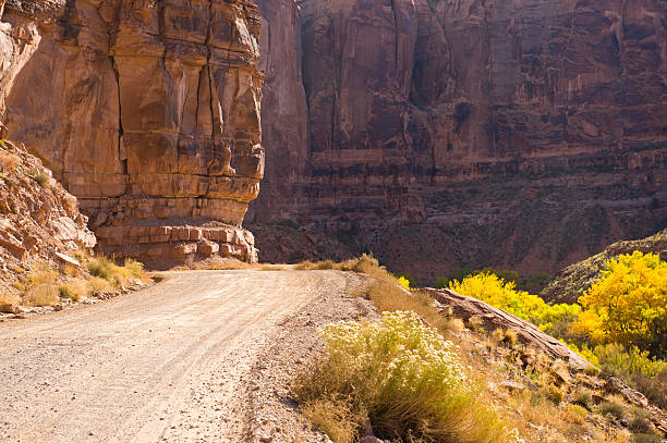 istock Dirt Road in Desert Canyon Country 183360795