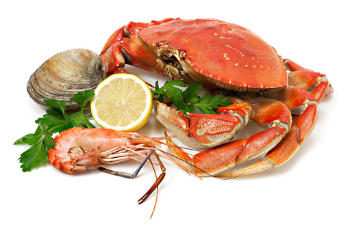 Dungeness crab, clam and prawn seafood.