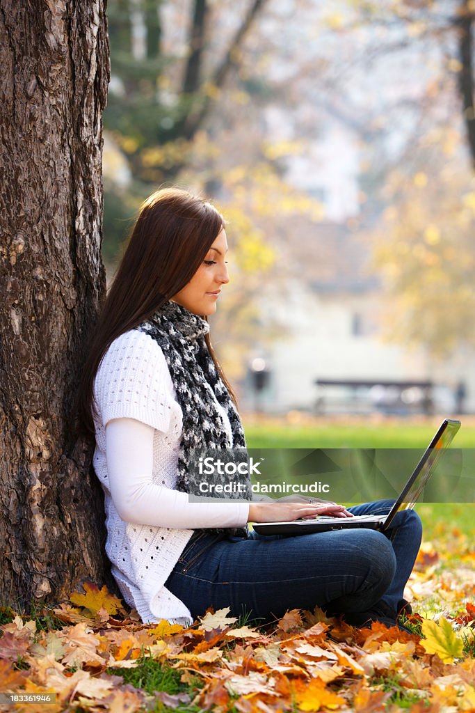 Junge Frau, die Arbeiten am laptop in der Natur - Lizenzfrei Herbst Stock-Foto