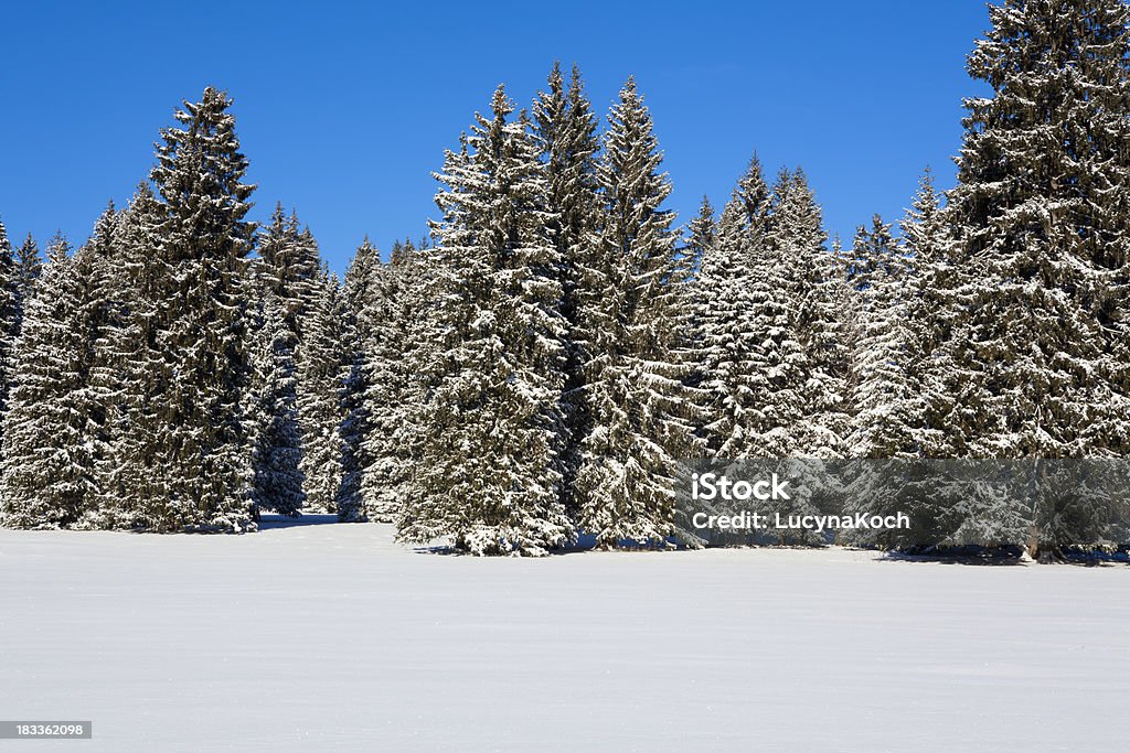 Schöne winter Landschaft - Lizenzfrei Baum Stock-Foto