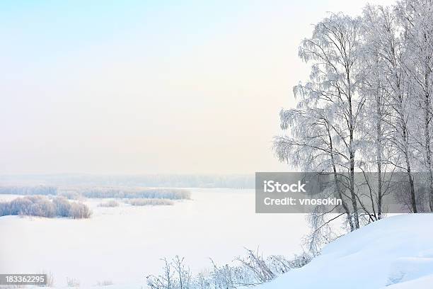 Invierno Al Río Foto de stock y más banco de imágenes de Aire libre - Aire libre, Blanco - Color, Boscaje