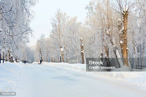 Parco Invernale - Fotografie stock e altre immagini di Albero - Albero, Albero spoglio, Ambientazione esterna