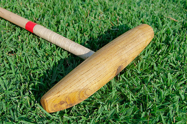 istock Polo Mallet on Grass Field 183362324