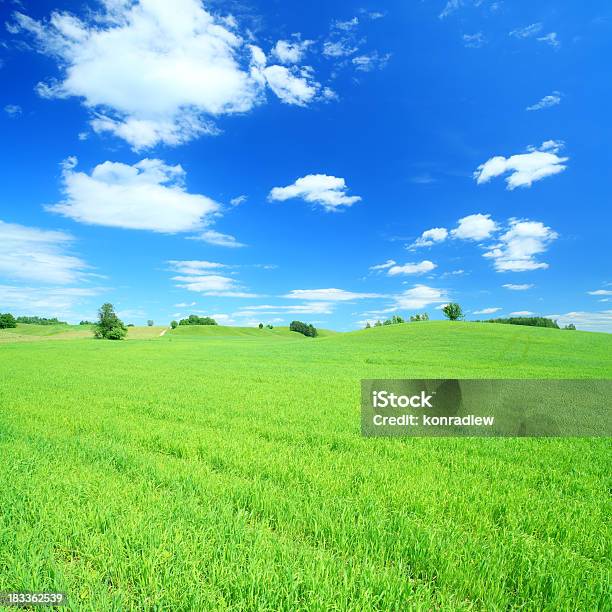 Grünen Feld Und Weiße Wolken Am Blauen Himmel Stockfoto und mehr Bilder von Agrarbetrieb - Agrarbetrieb, Anhöhe, Baum