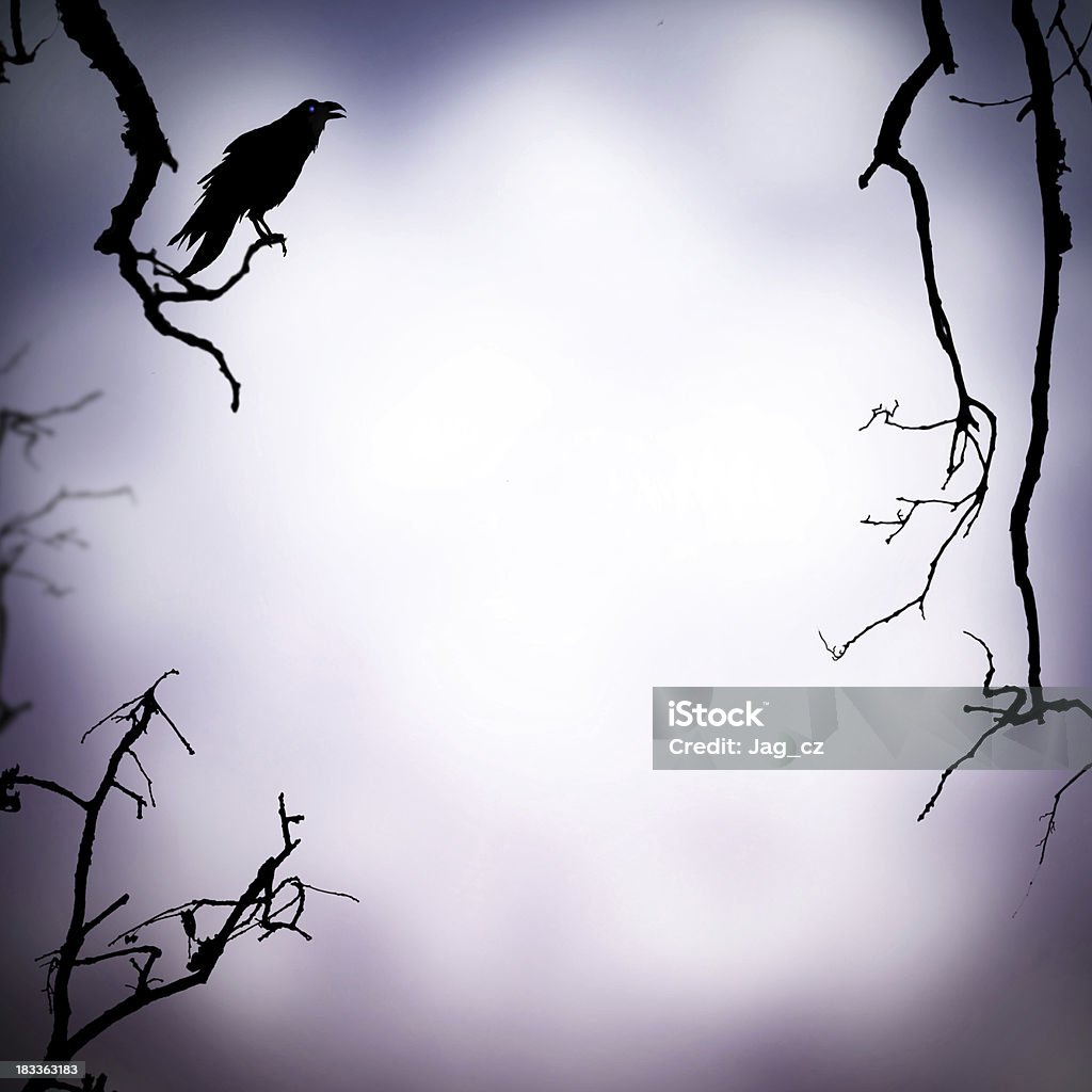 Scary background Halloween background with raven silhouette and free space for text Backgrounds Stock Photo