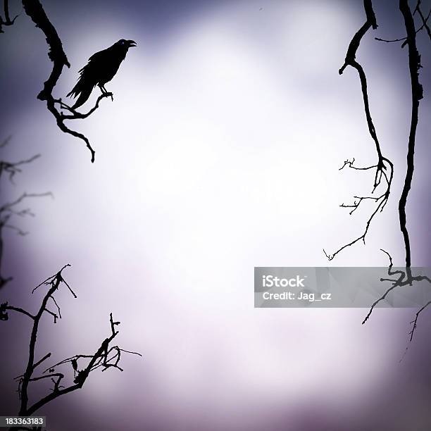 Scary Background Stock Photo - Download Image Now - Backgrounds, Gothic Style, Bird