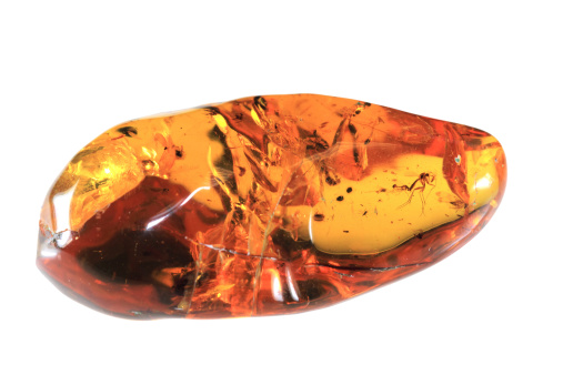 Amber with insects inside from Baltic region.