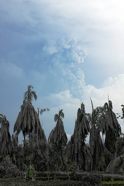 rauch und asche von mount merapi, november 2010 - mt merapi stock-fotos und bilder