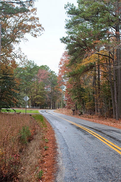 istock Country road in the fall foliage 183364302