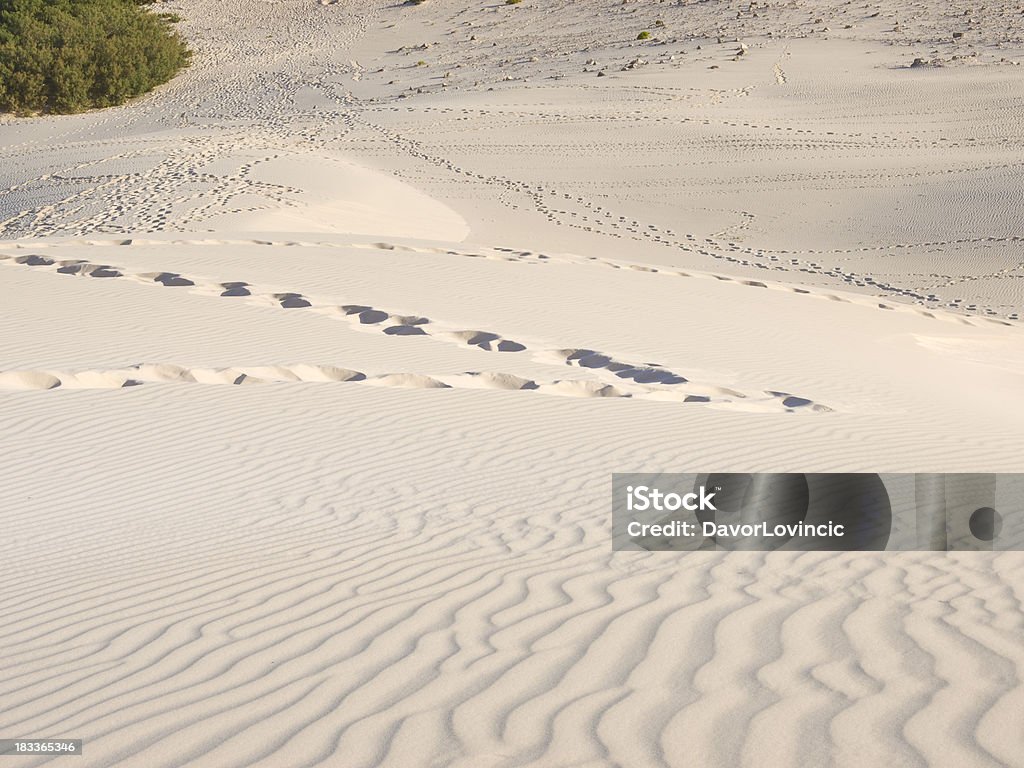 Trace on sand "Traces of walking on the white sand dunes along the Arher beach, Socotra, Yemen" Arabian Sea Stock Photo