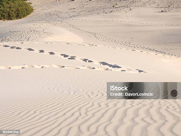 Trace On Sand Stock Photo - Download Image Now - Arabian Sea, Backgrounds, Beach
