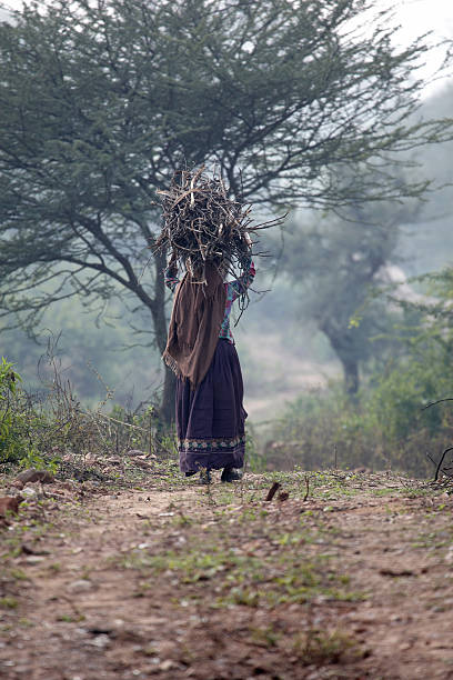 istock Anonymous Indian woman carrying firewood on jungle path 183365618