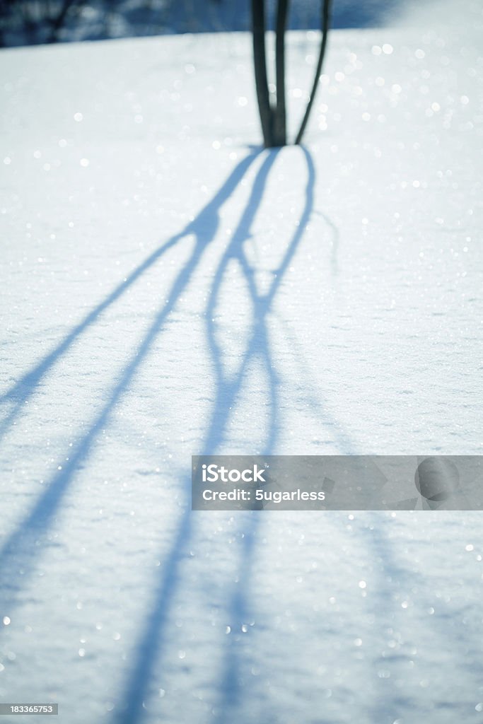 Tree shadow at snowdrift Sunny day in a winter garden Agricultural Field Stock Photo