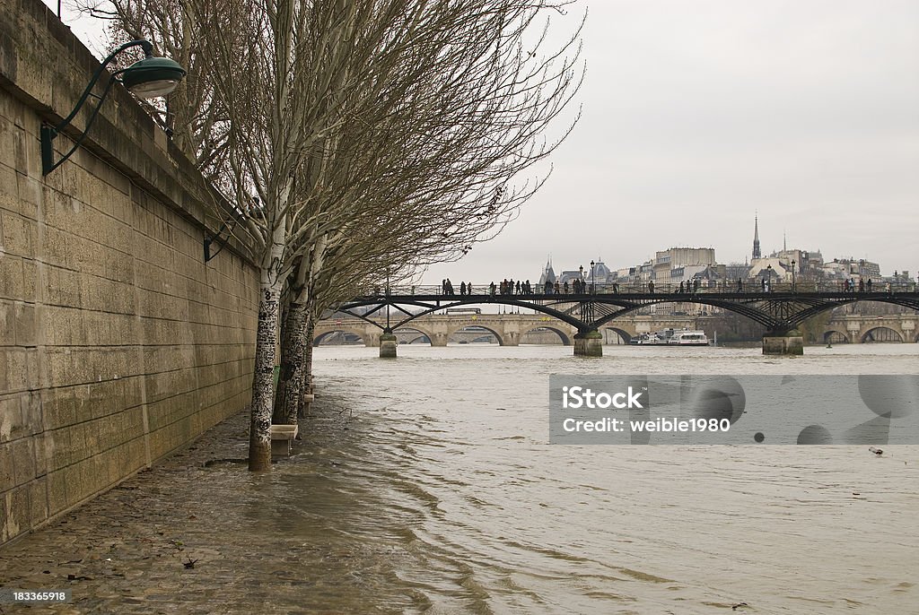 Inundação do Seine com árvores - Royalty-free Alfalto Foto de stock
