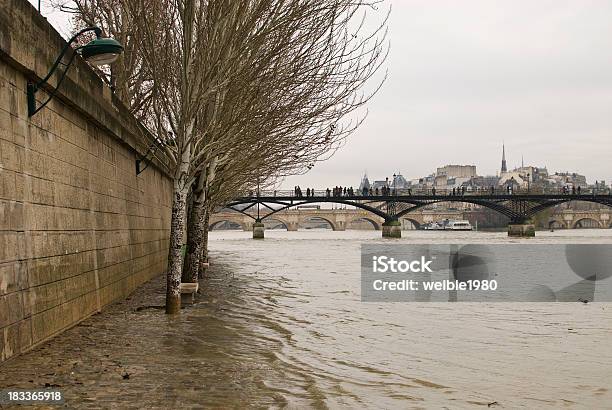 Inundação Do Seine Com Árvores - Fotografias de stock e mais imagens de Alfalto - Alfalto, Arco - Caraterística arquitetural, Banco - Assento