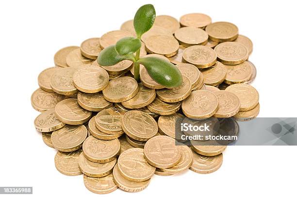 Pound Coins And Plant Growing Stock Photo - Download Image Now - British Currency, Business, Close-up
