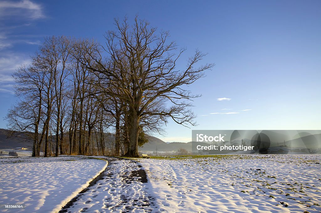 Inverno - Royalty-free Ao Ar Livre Foto de stock