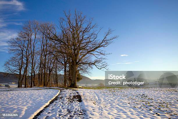 Inverno - Fotografias de stock e mais imagens de Ao Ar Livre - Ao Ar Livre, Céu, Dia