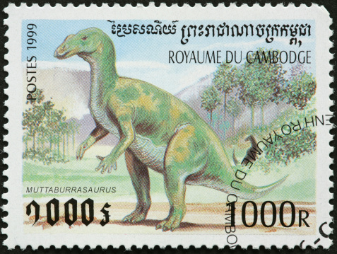 muttaburrasaurus dinosaur
