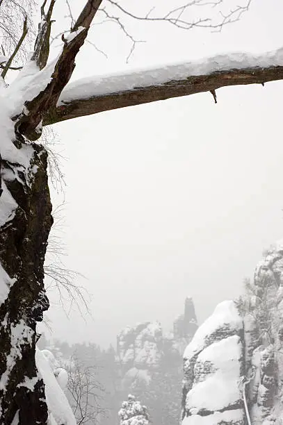 snow covered landscape on an overcast day in saxon switzerland, germany, elbsandsteingebirge