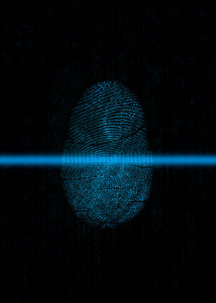 Biometrics: Fingerprint digitizing A scanning device is digitizing a fingerprint. Binary data appears in the scan line (obscured by the iStockphoto watermark. Please zoom in to have a better view) fingerprint scanner photos stock pictures, royalty-free photos & images