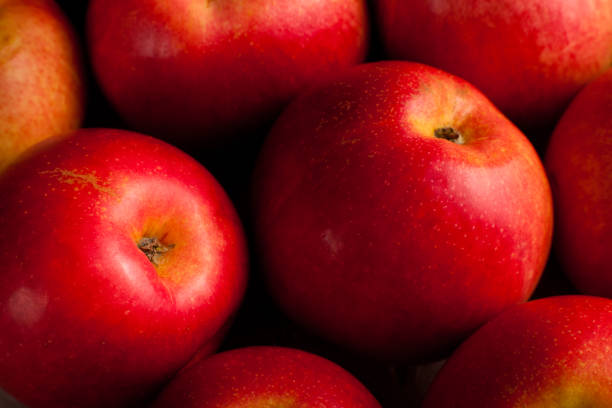 istock Red apples close-up, top vew 1833673830