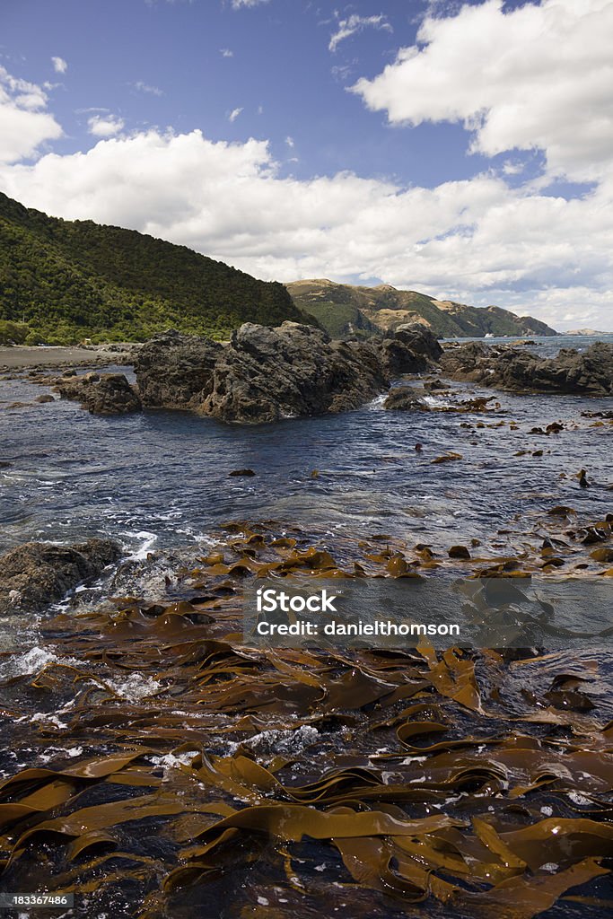 Rocky de Kaikoura costa - Foto de stock de Agua libre de derechos