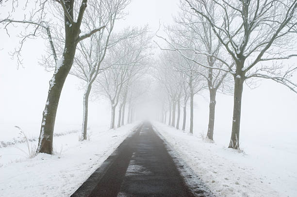 istock Winter Country Road 183368666