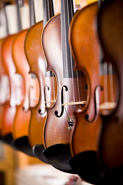 istock Row of violins on display rack 183368784