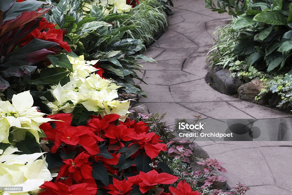 Giardino natalizio - Foto stock royalty-free di Landscaped