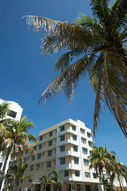 istock Art Deco Scene with Palm Trees and Blue Sky 183369088