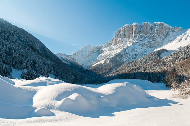 doskonałe zimowy krajobraz ze śniegiem i góry - isere zdjęcia i obrazy z banku zdjęć