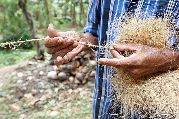 istock Indian man making rope from coconut husk 183369149