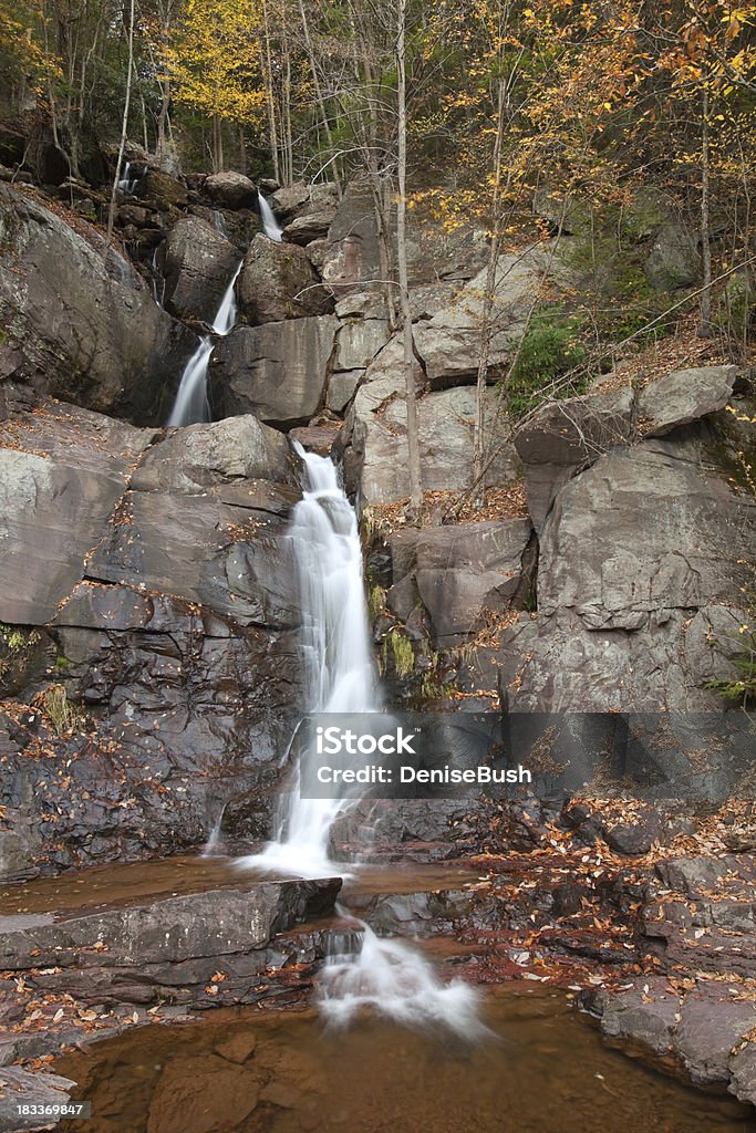 Cascada de Pocono - Foto de stock de Parque Estatal libre de derechos