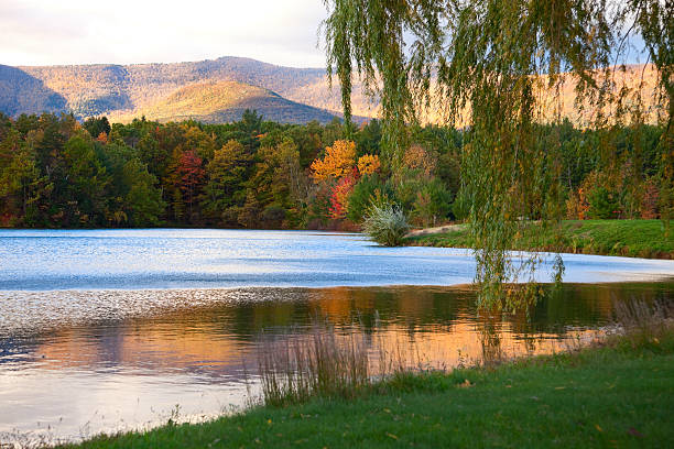 istock Willow and Autumn Reflections in the Catskill Mountains Lake 183369852